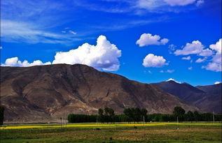 西藏风光爆料视频大全最新,独家爆料视频大盘点