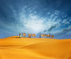 最新沙漠爆料新闻事件,最新爆料揭示惊人真相