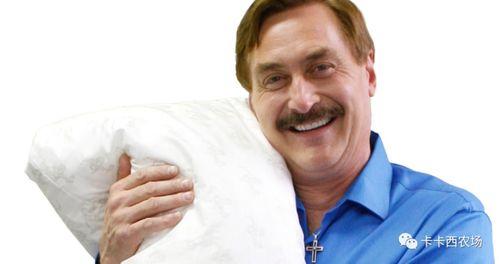 枕头老哥最新爆料,揭秘娱乐圈最新热点事件