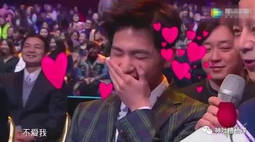 杨洋爆料视频大全集最新,揭秘明星幕后故事与成长历程