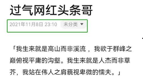 爆料官方解说文案大全最新,最新爆料背后的精彩故事