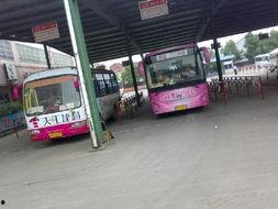 奉化公交车最新爆料,最新爆料揭示线路调整与优化