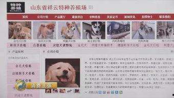 最新宠物爆料网站,萌宠动态大盘点,揭秘宠物界的秘密生活 第1张 最新宠物爆料网站,萌宠动态大盘点,揭秘宠物界的秘密生活 第1张