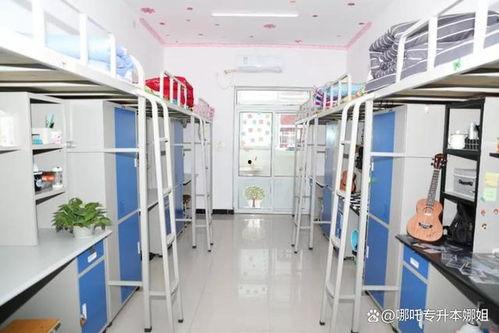 郑州大学宿舍爆料视频最新,揭秘校园生活真实面貌