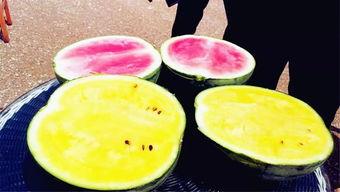 保定最新吃瓜爆料  第3张