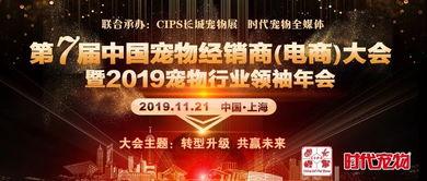 最新星光飞宠爆料2025,未来宠物界的璀璨之星  第3张