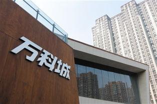 万科爆料最新消息新闻,揭秘重大战略调整与未来发展动向