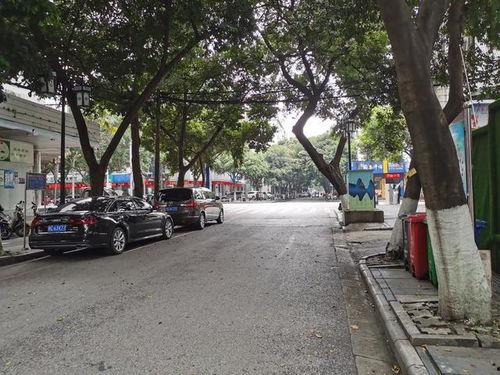桂林榕荫路最新爆料,老街新颜绽放魅力  第3张